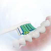 Sencor SOX 015 Premium Toothbrush Heads Designed for Gum Regeneration and Protection Compatible with Sencor SOC1,2,3 Series Toothbrushes