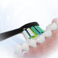 Sencor SOX 102 Premium Toothbrush Head W-shaped for Deep Cleaning Compatible with Sencor SOC 4210BL/4211GD Toothbrushes