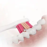 Whitening Toothbrush Head Sencor SOX 103 Compatible with Sencor SOC 4210BL/4211GD Toothbrushes